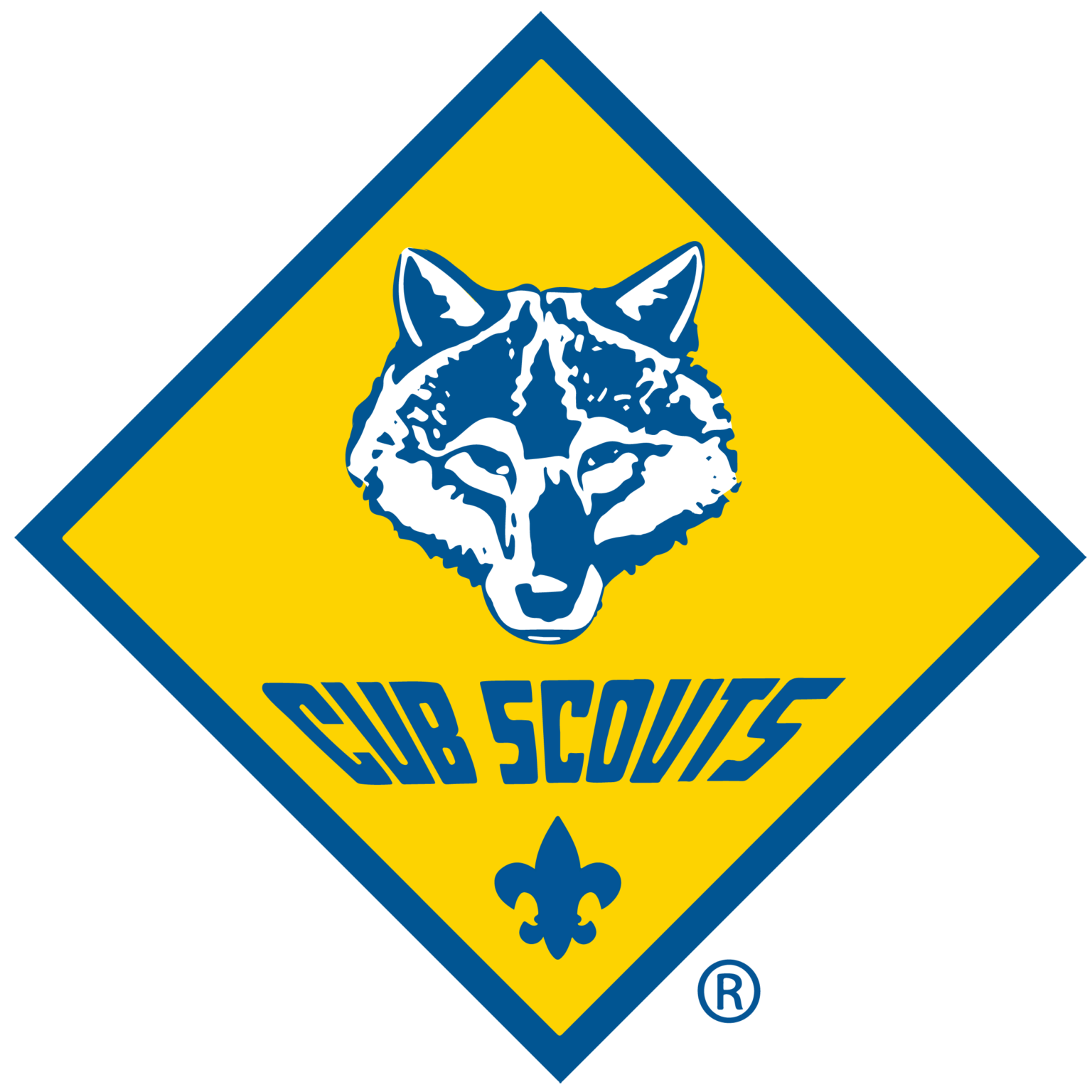 2024 Cub Scout Summer Camps - Cub Scouts (part of Boy Scouts of America)